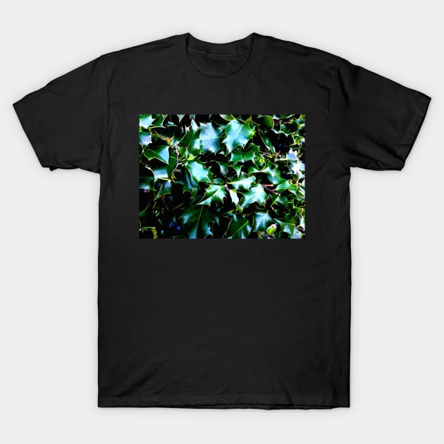 Holly T-Shirt by robsteadman